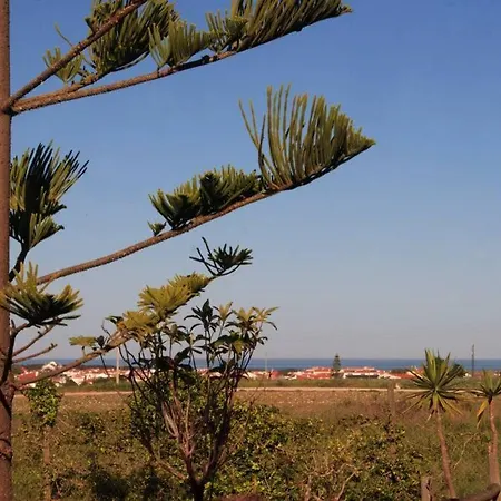 Kokua Surfarm, Quinta