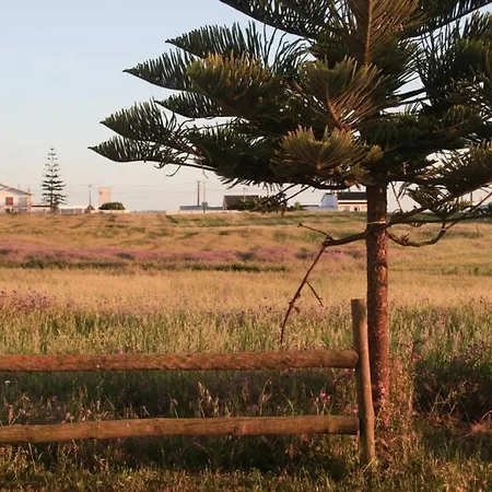 Villa Kokua Surfarm, Quinta Atouguia Da Baleia